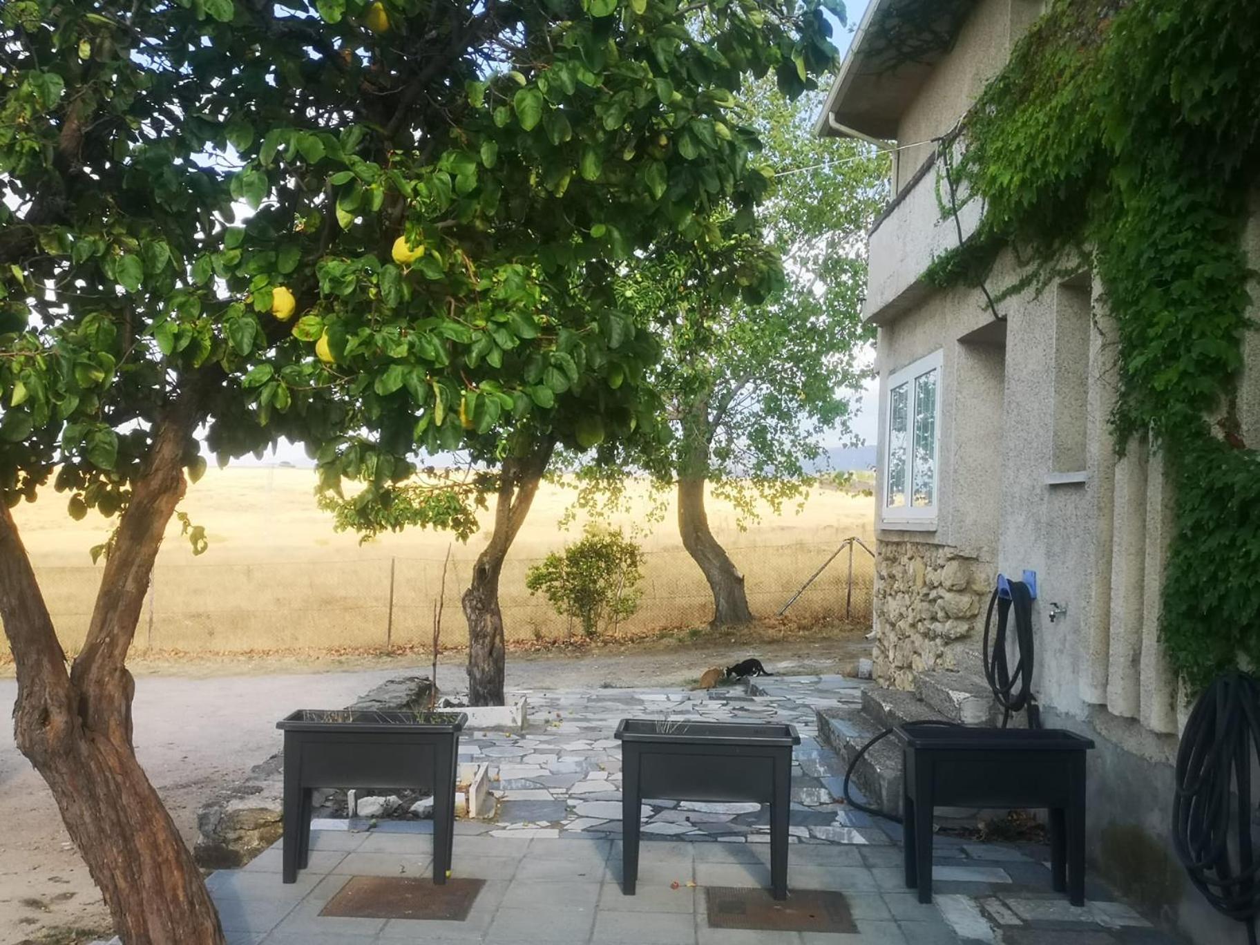 Agradable Casa Con Jardin: Casasola Villa San Cristobal de Segovia Bagian luar foto