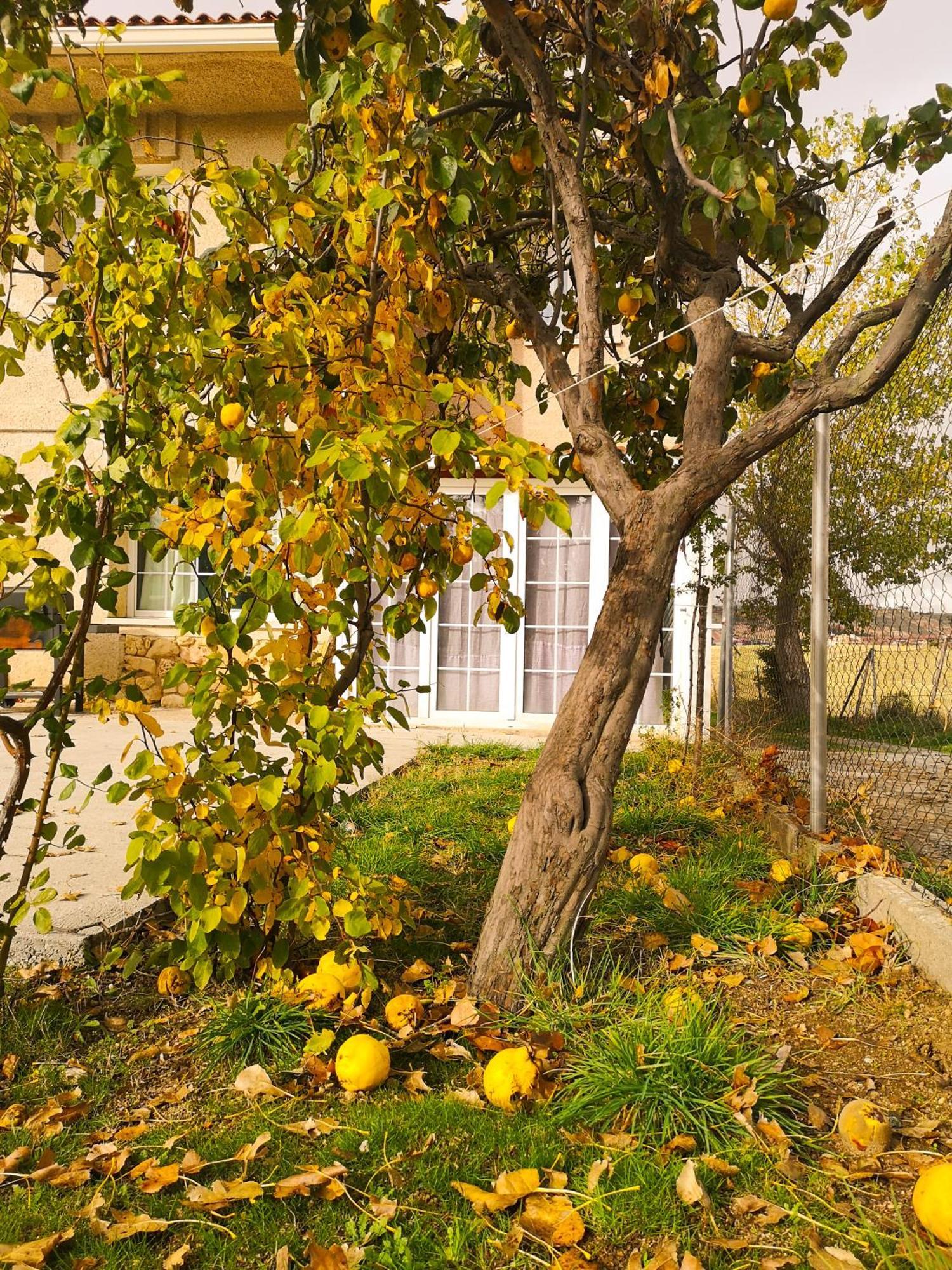 Agradable Casa Con Jardin: Casasola Villa San Cristobal de Segovia Bagian luar foto